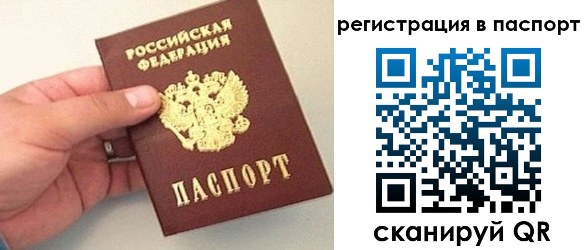 прописка законно в Чкаловске